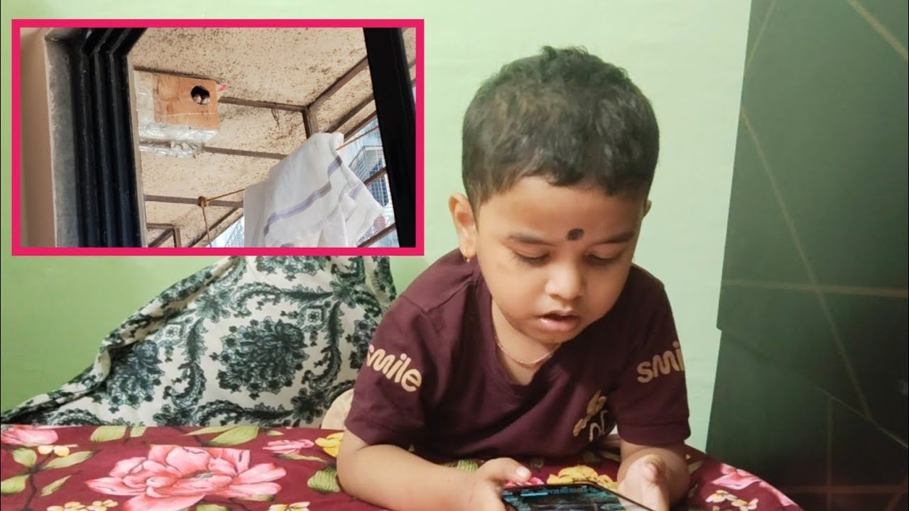 चिमण्यांची पिल्ले 😘|family vlog|