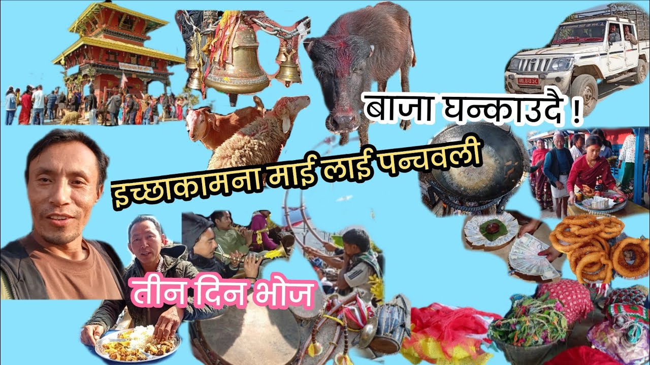इच्छाकामना माई लाई पन्चवली!पन्चेबाजा बजाउदै!४ वटा गाडीमा मान्छे टन्नै|CssRimkeKoVlog|चेतमान राना मगर