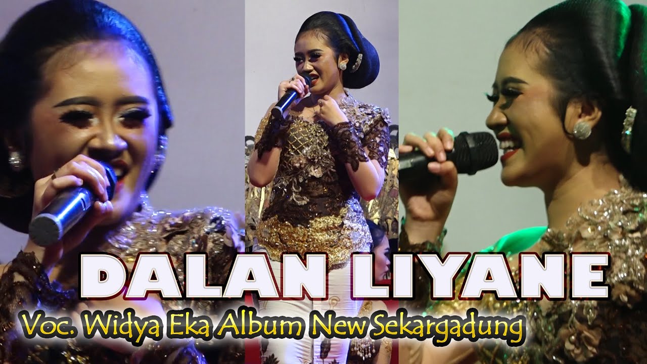 DALAN LIYANE cover WIDYA EKA album NEW SEKARGADUNG