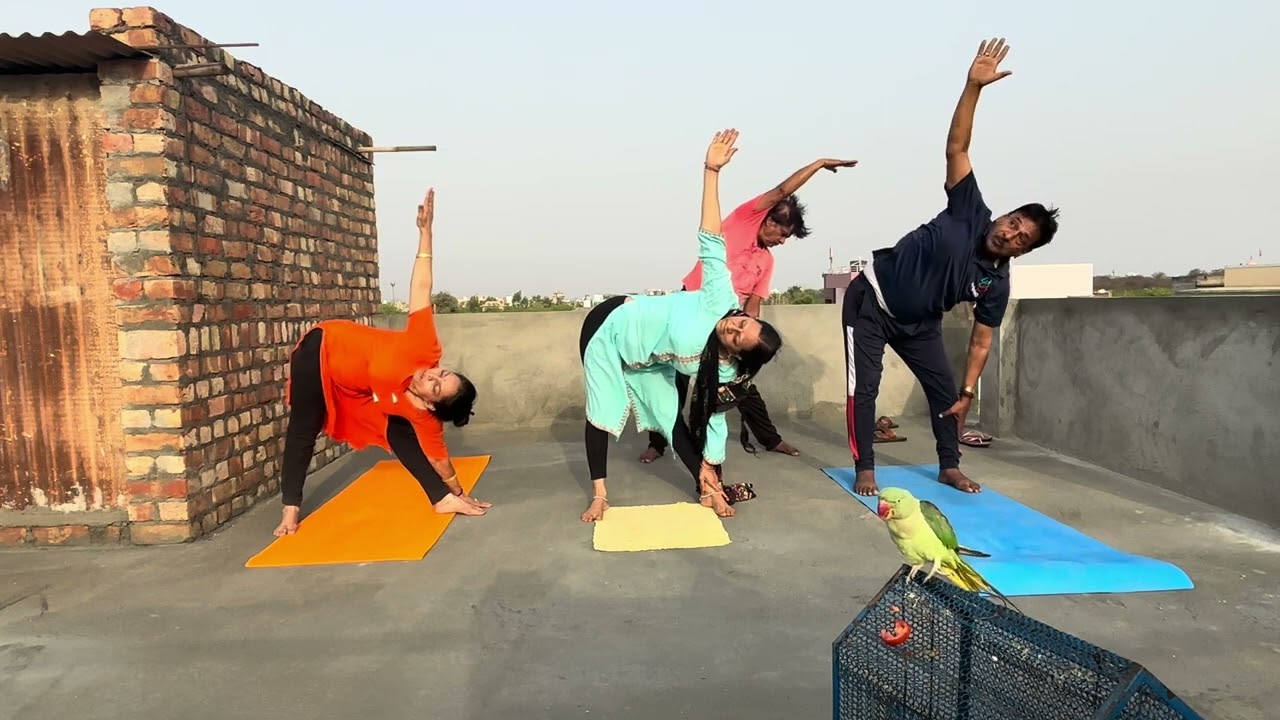 मोटापा कम करे ये सभी yoga व आसन से ✅👍#yoga#fat#motivation#trending#tapshyahealthyo#viralvideo 💫👍🧘‍♂️