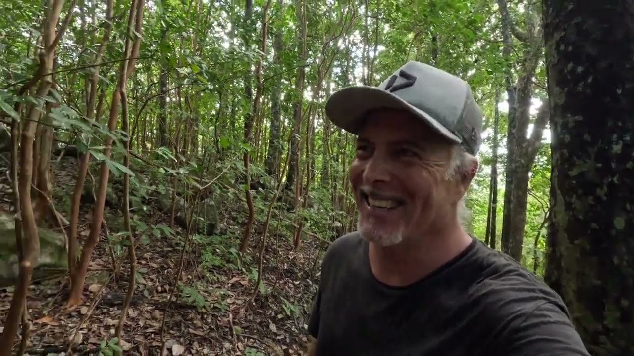 MAURITIUS 2024 4K - Black River Gorges National Park