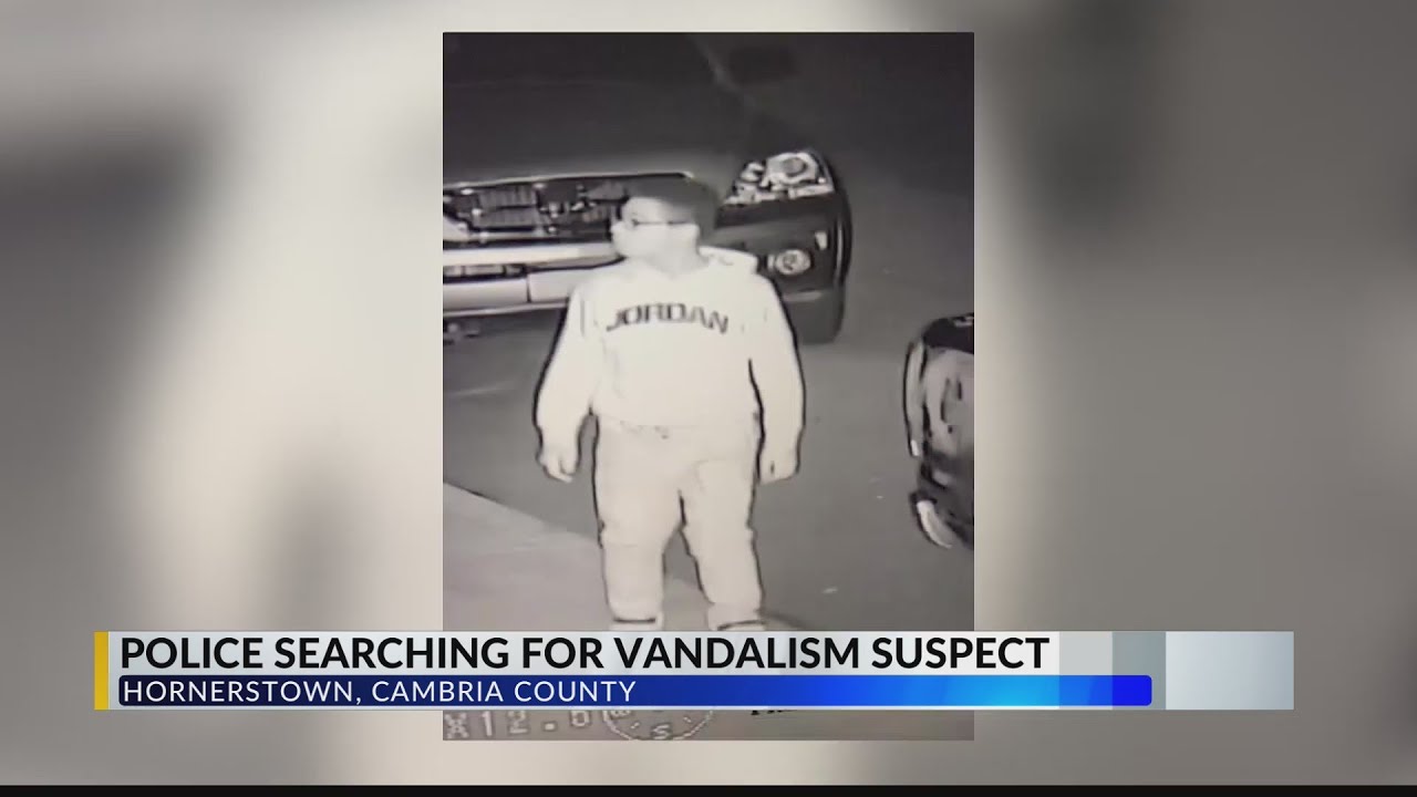 Police searching for vandalism suspect