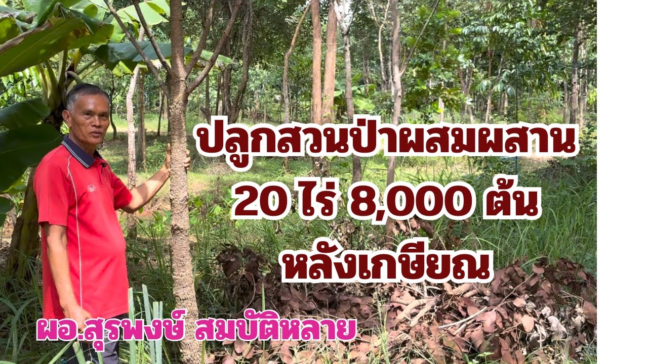 EP2 ปลูกสวนป่าผสมผสาน 20 ไร่ 8,000 ต้น หลังเกษียณ อนุรักษ์พันธุ์ไม้ป่าหายากให้ลูกหลาน