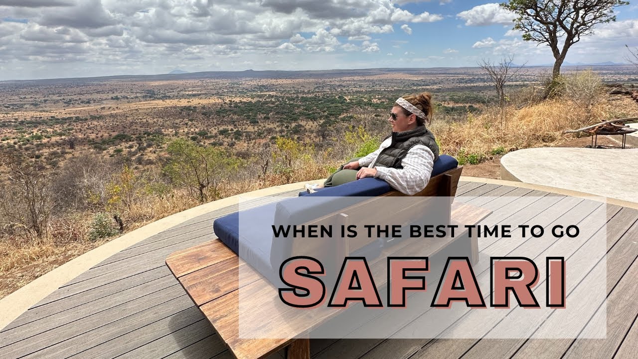 Best Time For A Safari Adventure: When Should You Go?