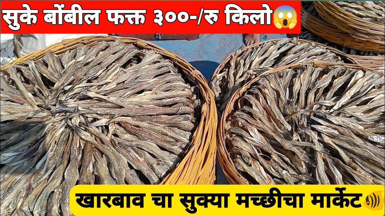 🐠सुके बोंबील फक्त ३०० रुपये किलो😱| खारबाव चा सुक्या मच्छी चा मार्केट🐟🥰