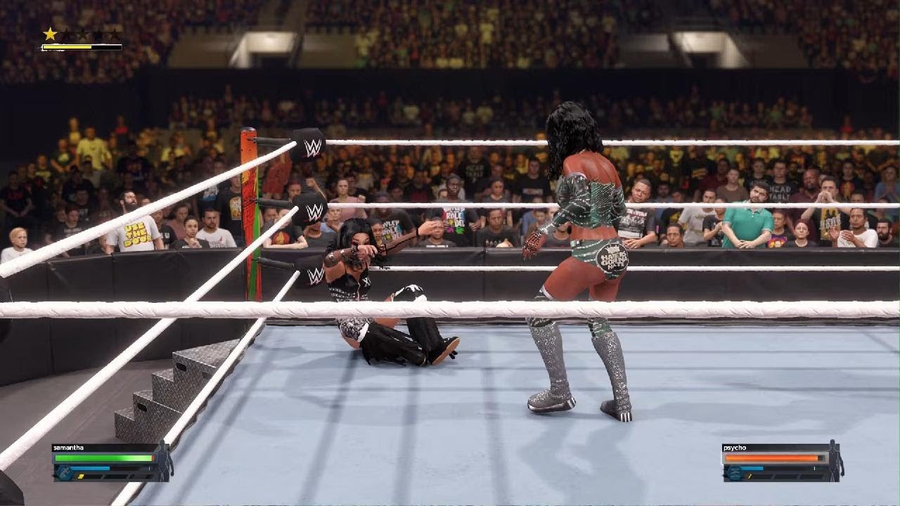 WWE 2K24