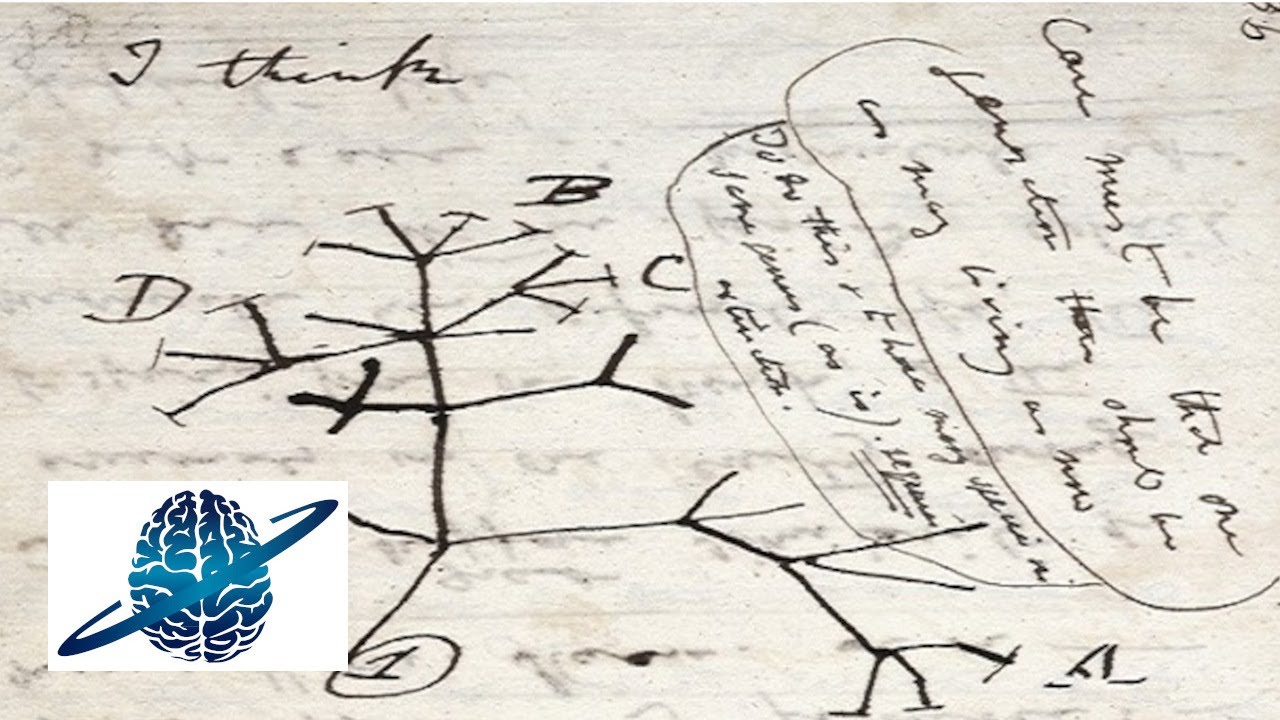 Evolution und Erkenntnis mit Prof. Dr. Dr. Gerhard Vollmer - Kritisches Denken Podcast Episode 09