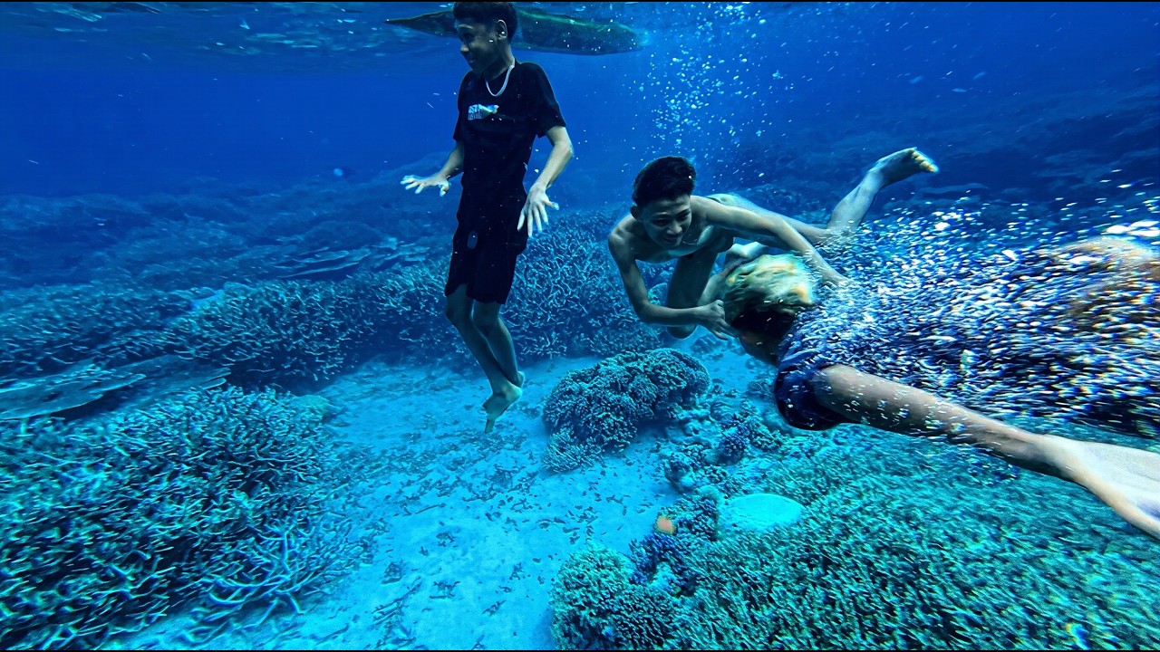 Nikmat sekali hasil berburu🐠🐠mukbang di alam terbuka, sambil melihat keindahan di bawah laut