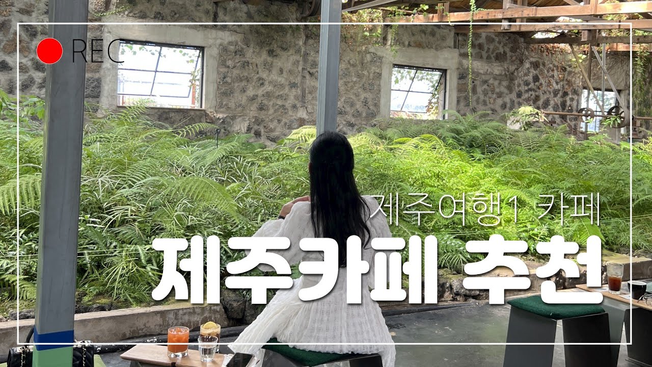 제주 카페 투어 - 서귀다원, 히비안도코하쿠, 베케, 앤트러사이트