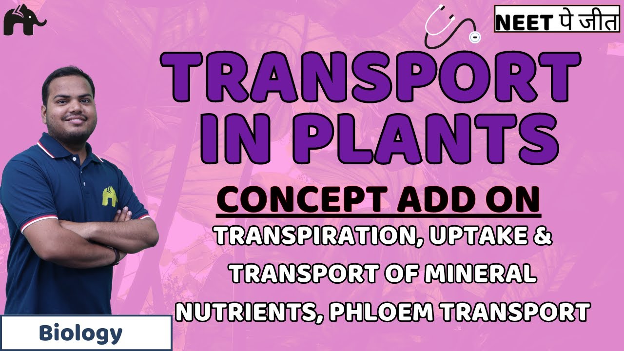 Transport in Plants Class 11 NEET Biology NEET Transpiration, Uptake, Transport of Mineral Nutrients