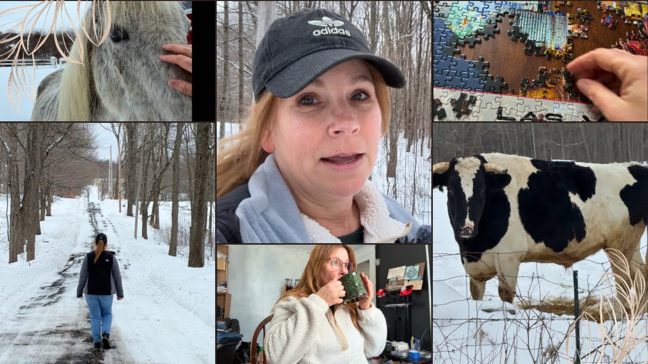 New England morning walk• running out of oil before a blizzard • DITL