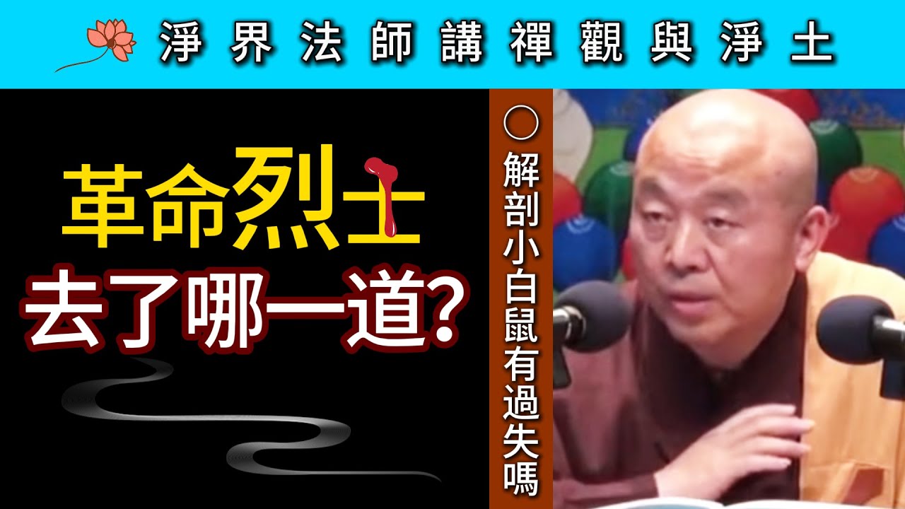 革命烈士 去了哪一道？解剖小白鼠有過失嗎？~ 淨界法師《禪觀與淨土》基礎篇