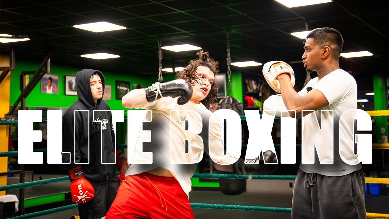 What an ELITE boxing session looks like