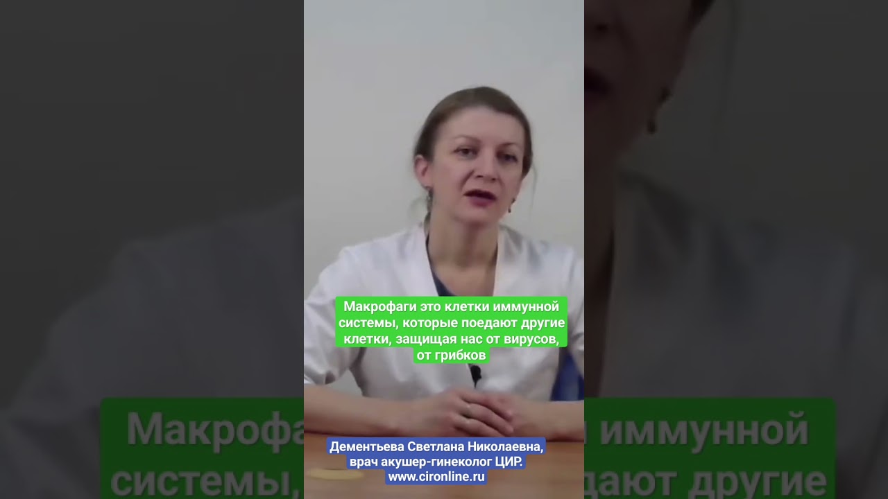 Что такое макрофаги и зачем им железо. Дементьева С.Н.