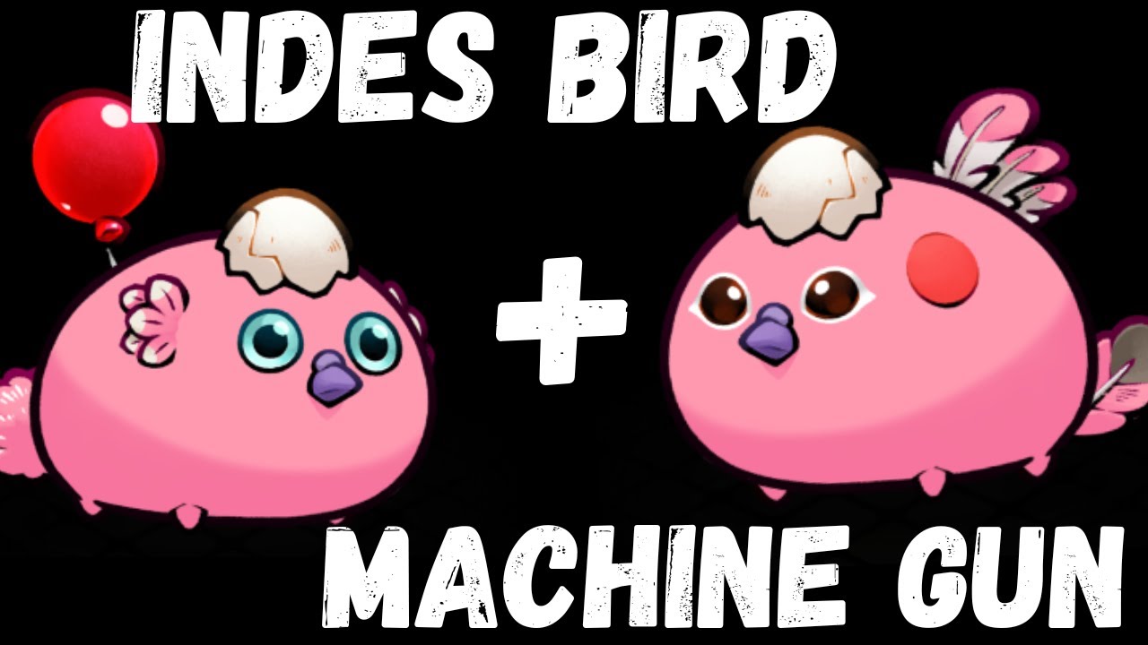 INDES BIRD + MACHINE GUN BIRD | AXIE CLASSIC META 2025 | CHEAP META TEAM