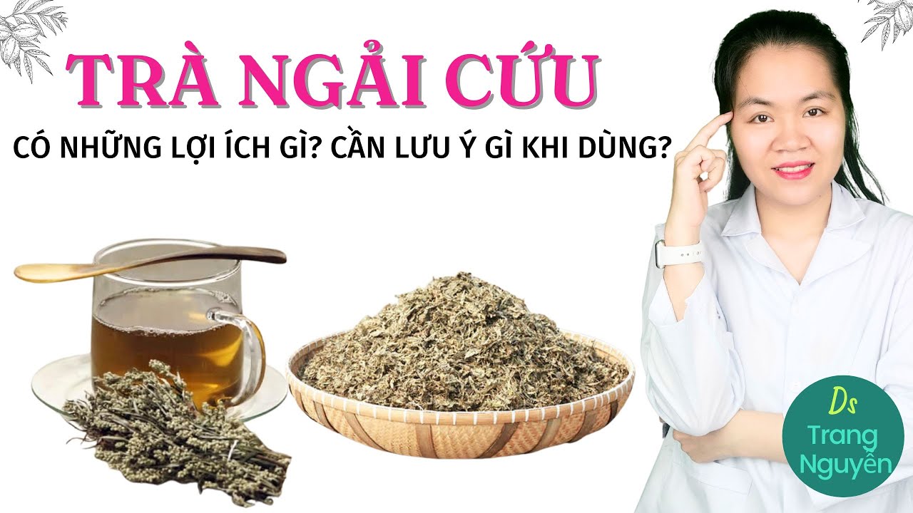 Uống trà ngải cứu phơi khô có tác dụng gì? Cần lưu ý những tác dụng phụ