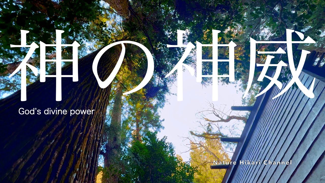【日本の美しい自然】【冬】神社、川、木々のこもれび