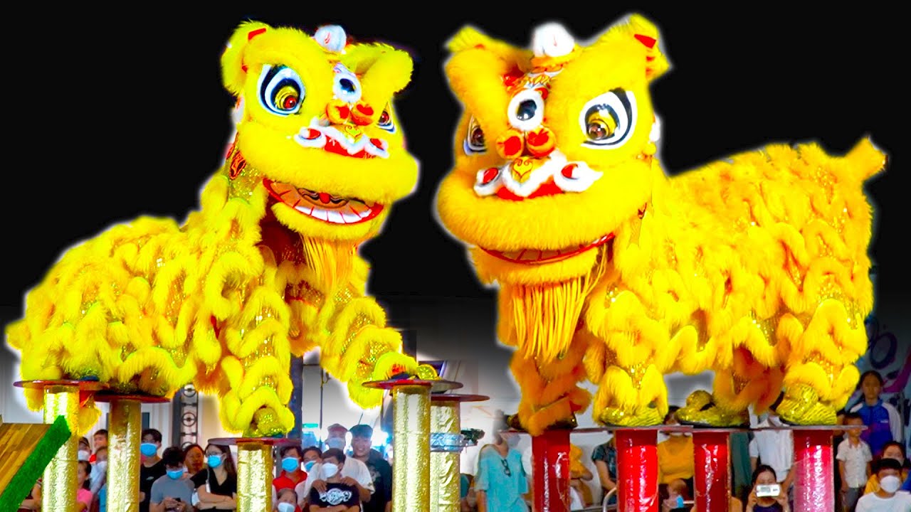 Múa Lân Hay Nhất 2022 / LSR Hào Dũng Đường thi nhảy Mai Hoa Thung giải Lân Sư Rồng tỉnh Tây Ninh