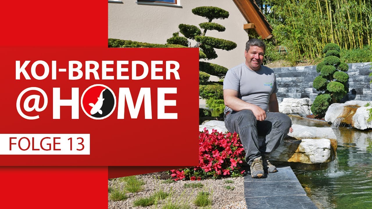 Koi-Breeder@home: Sacha Remund
