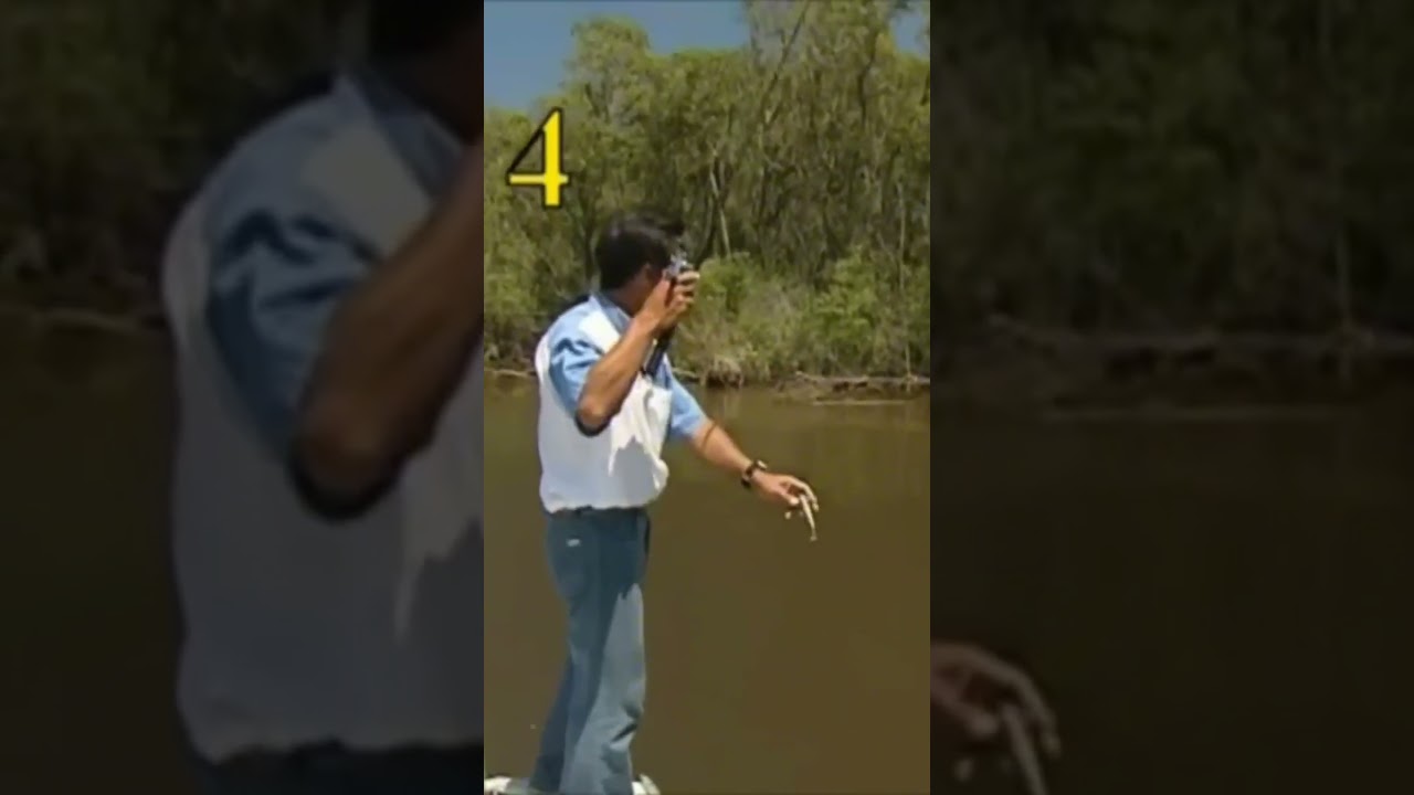 TBT do NELSININHO - Video "OS 10 ROBALOS" Robalao numero 4