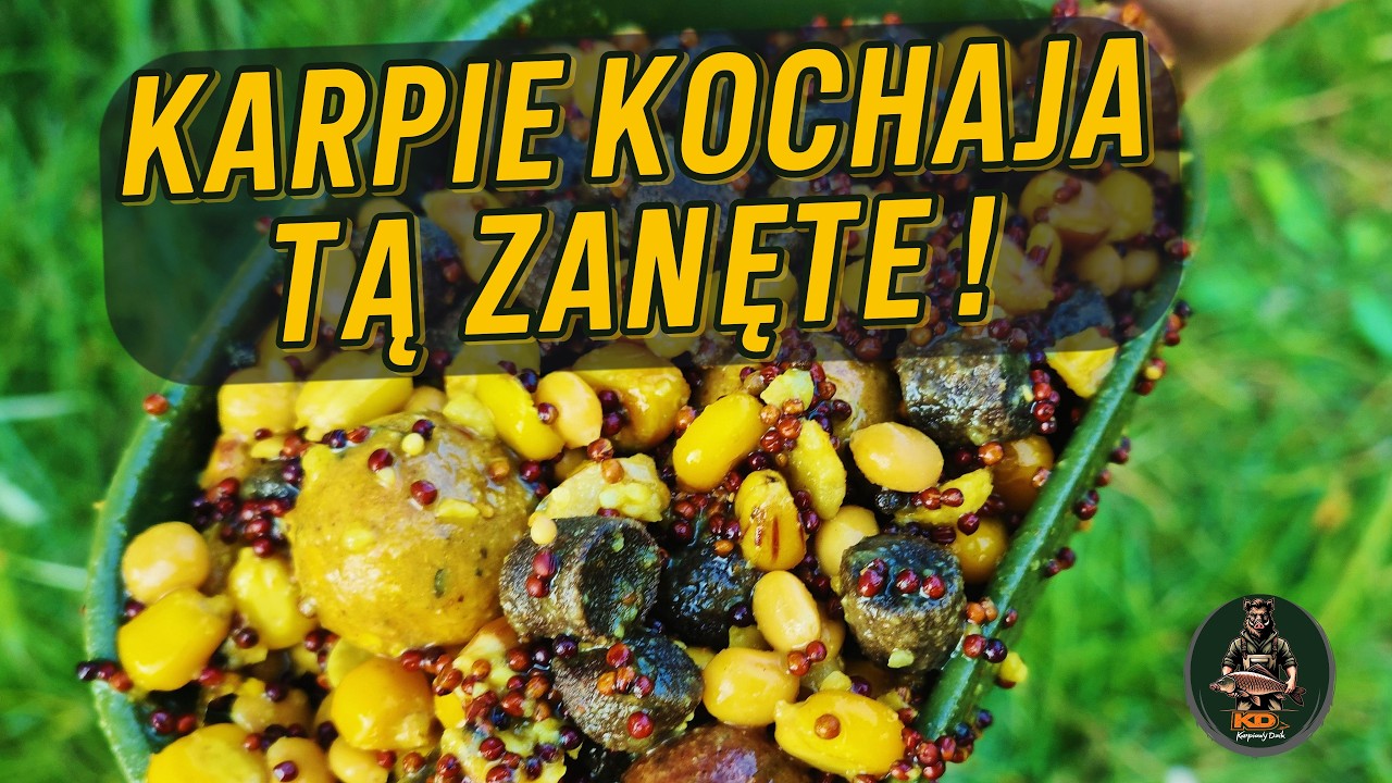 Jak nęcić karpie latem ? Ta zanęta pozwala na wszystko !