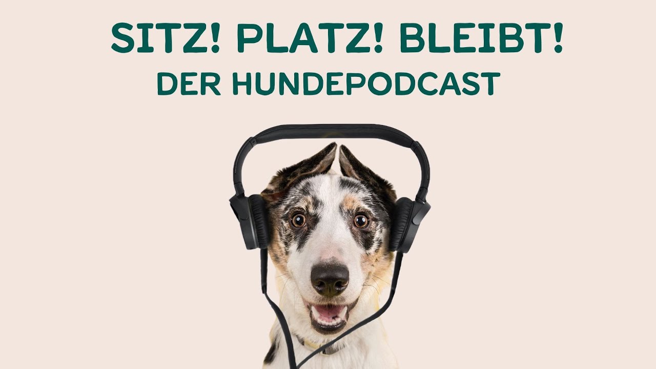 Podcast Folge #0 Was dich bei 