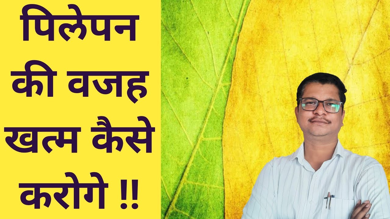 फसल में पिलेपन की वजह खत्म कैसे करे । Leaf 🍂 yellowness