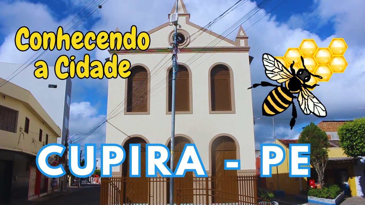 Conhecendo Cupira