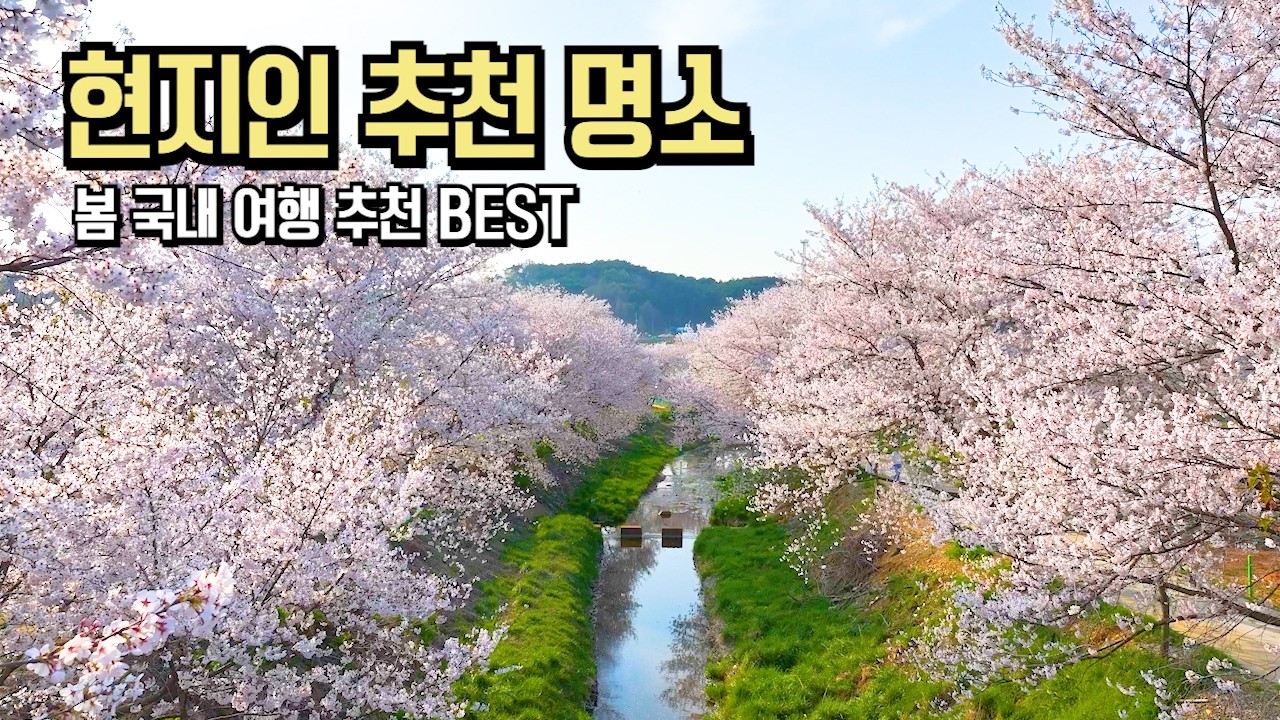 사람 없는 벚꽃 명소 여기 있음 국내 여행 추천 BEST #여행추천 #국내여행