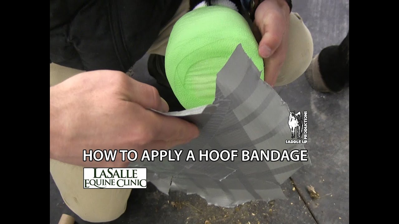 How to Apply a Hoof Bandage