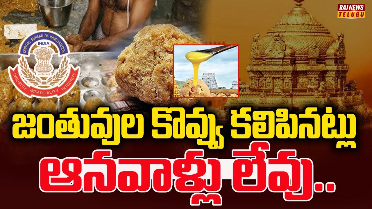 జంతువుల కొవ్వు కలిపినట్లు ఆనవాళ్లు లేవు..| Sensational CBI Report on TTD Laddu Adulterated Ghee Case