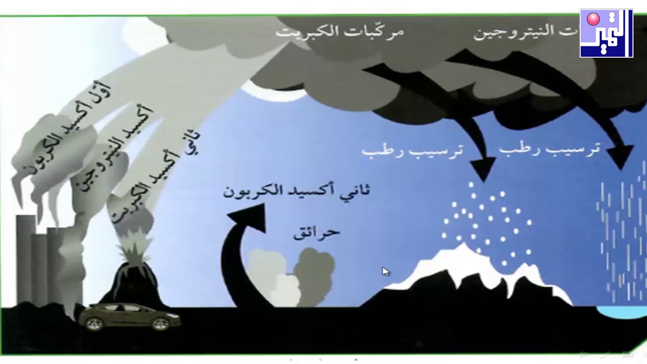 الصف السابع - علوم - الأمطار الحمضية - مارس 2020 - مدرسة التميز النموذجية