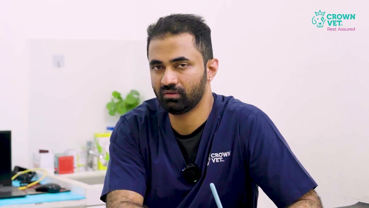 It&rsquo;s Never Just a Limp | Preventive Pet Care | Dr. Prabhu on Early Detection in Pets