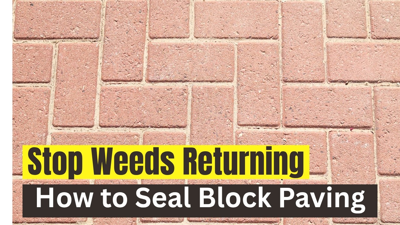 Stop Weeds Returning: How to Seal Block Paving After Pressure Washing
