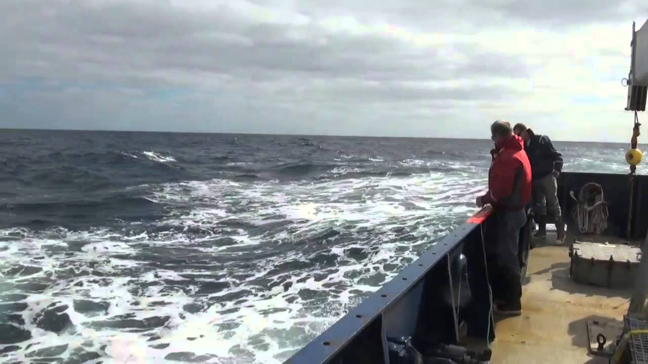 UW|360: Measuring Ocean Waves