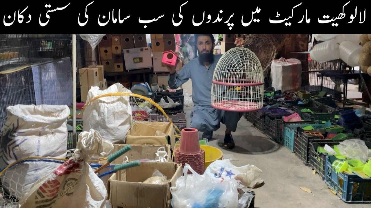 Birds All Accessories Biggest Shop in Lalukhet Birds Market Karachi 😯🥰😃