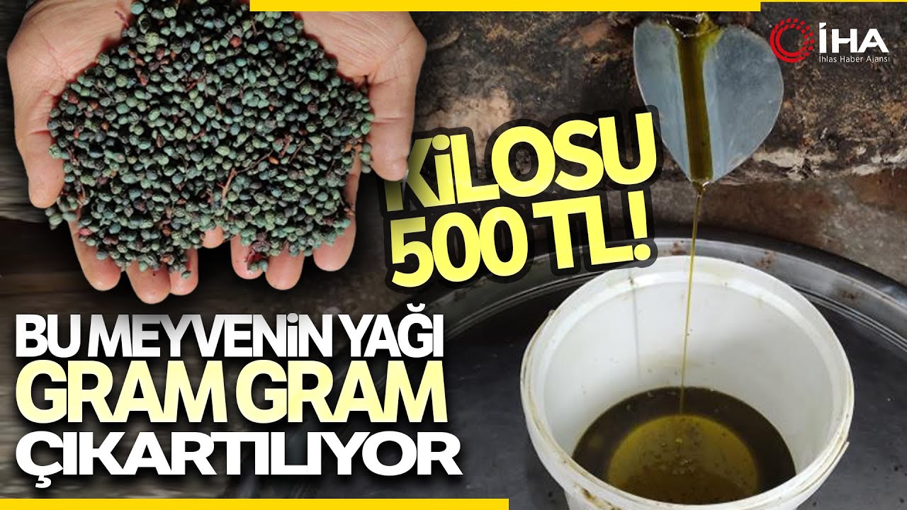 Çitlenbik Meyvesinin Yağı Gram Gram Satılıyor; Kilosu 500 TL