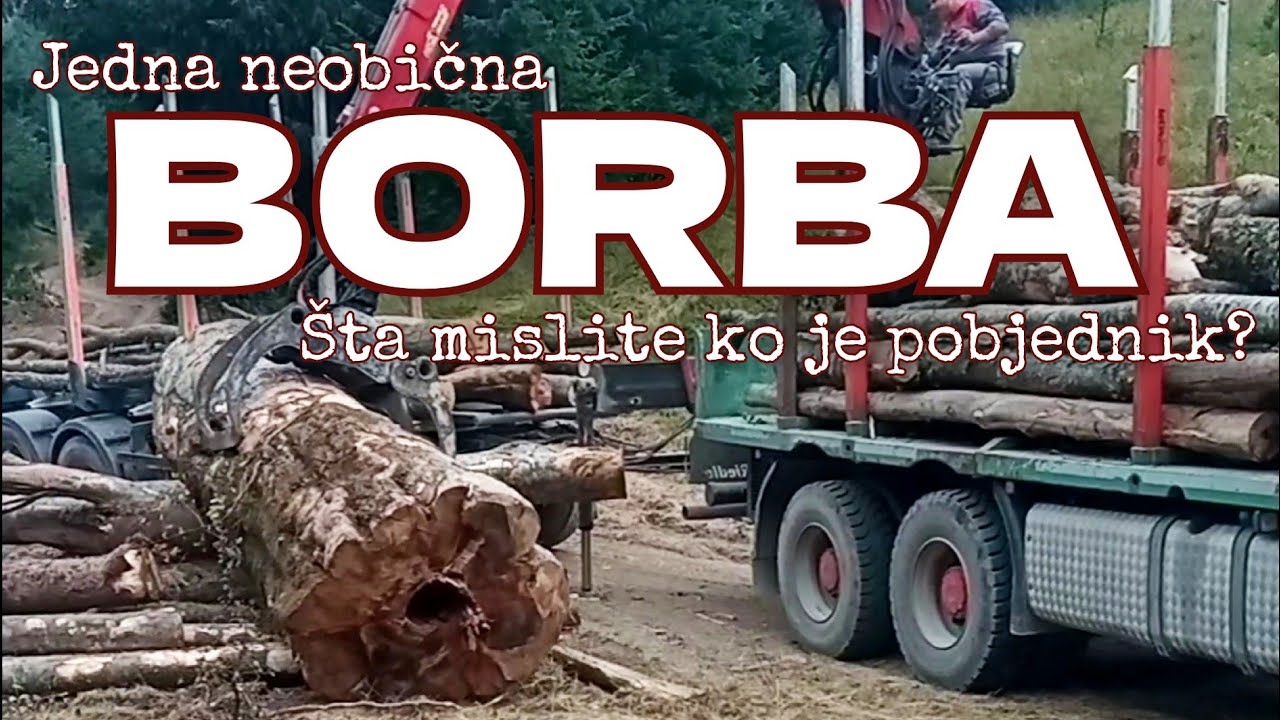 BORBA na lageru | Utovar bukve na &scaron;ticara  #logging #truck #loading #lager #forest #equipment