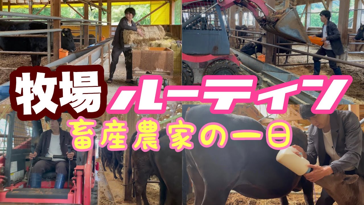 畜産農家の1日ルーティン