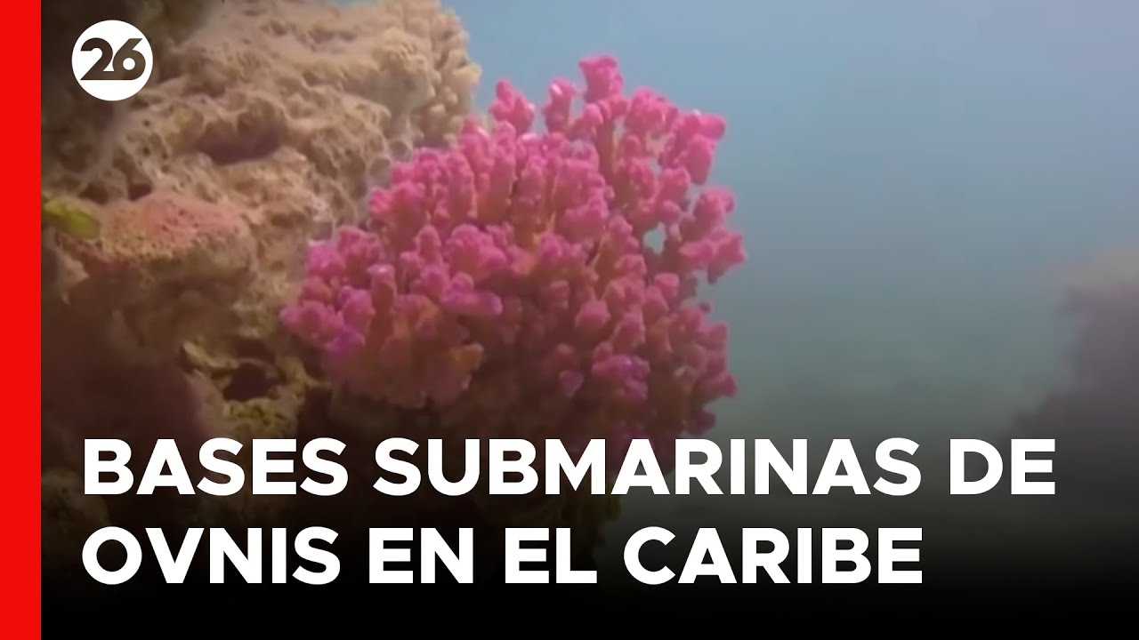 👽 INCERTIDUMBRE MUNDIAL | &iquest;Los extraterrestres se esconden en las profundidades de los oc&eacute;anos?
