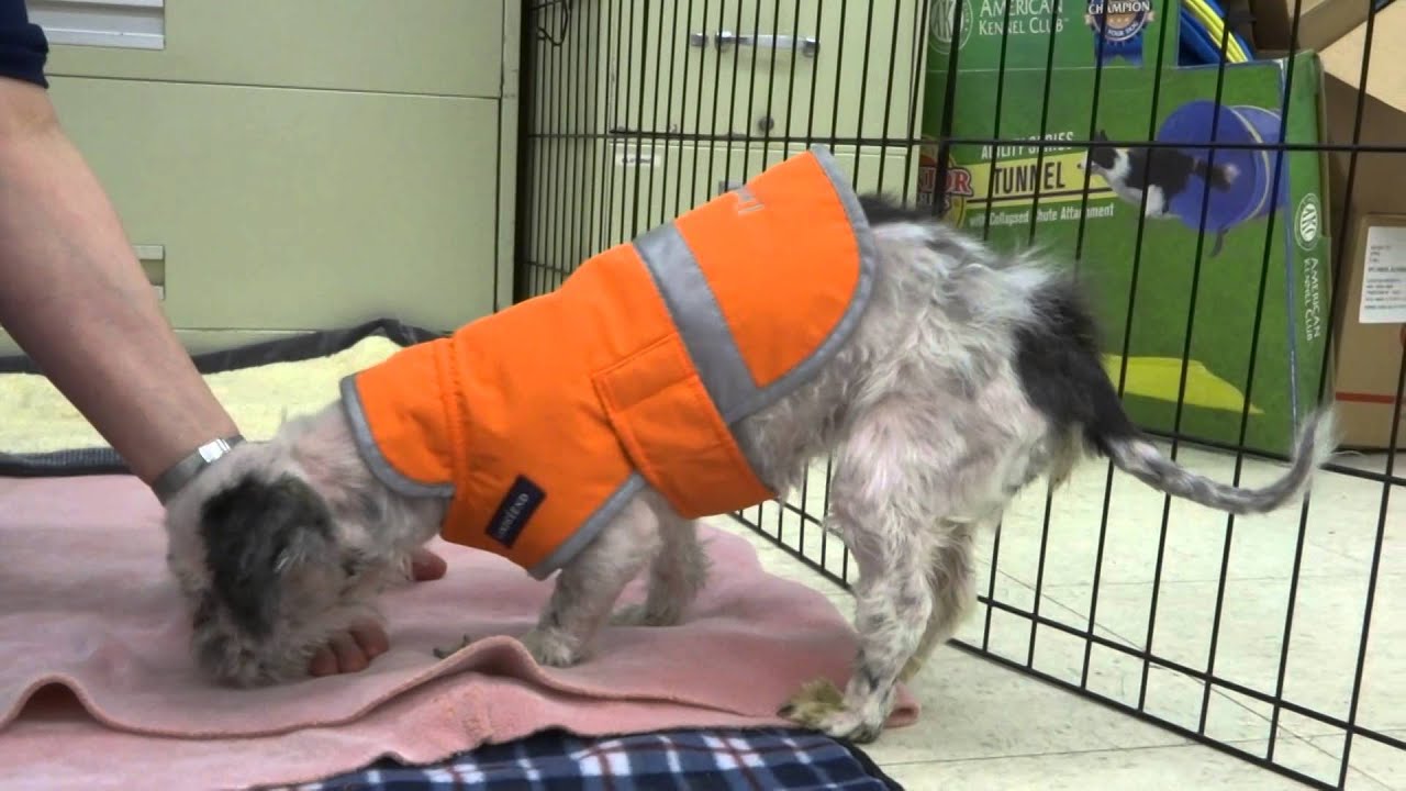 Dori's December 9, 2014 Update!