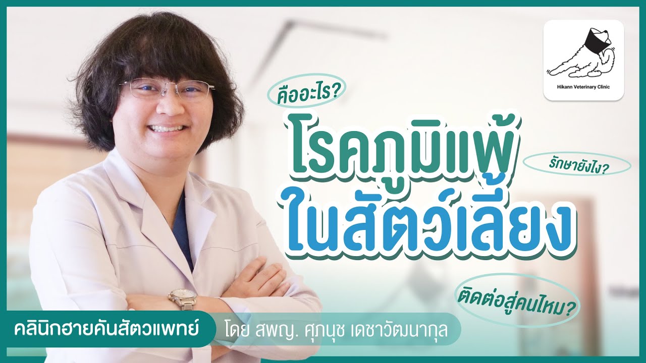 โรคภูมิแพ้ในสัตว์เลี้ยงคืออะไร? สำคัญแค่ไหน? การเลี้ยงสัตว์ที่เป็นโรคภูมิแพ้ ตอบครบโดยสัตวแพทย์