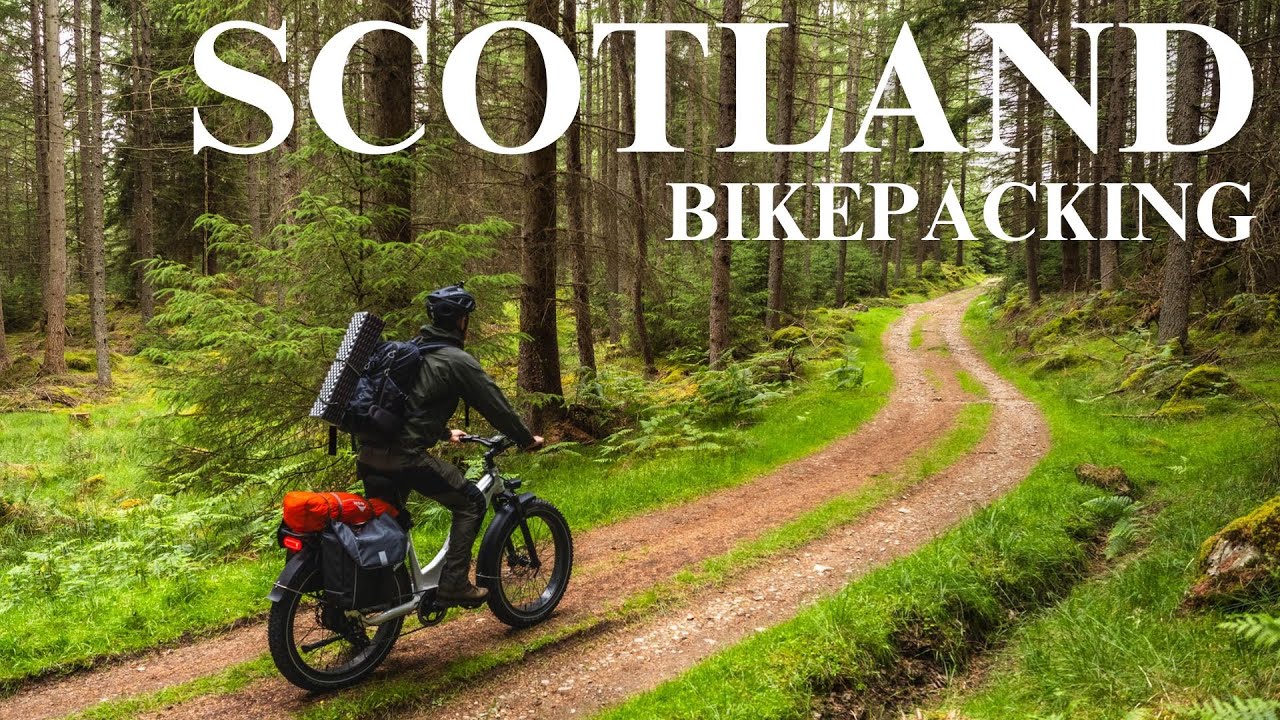 Bikepacking to a Scottish Loch | Wildlife Photography | Beaver