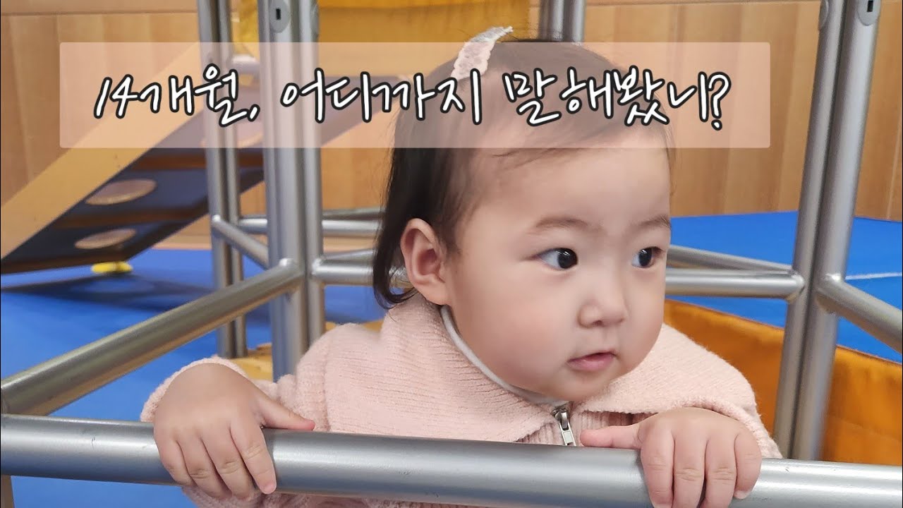 슬기로운 14개월 둘찌의 언어생활 ❤️
