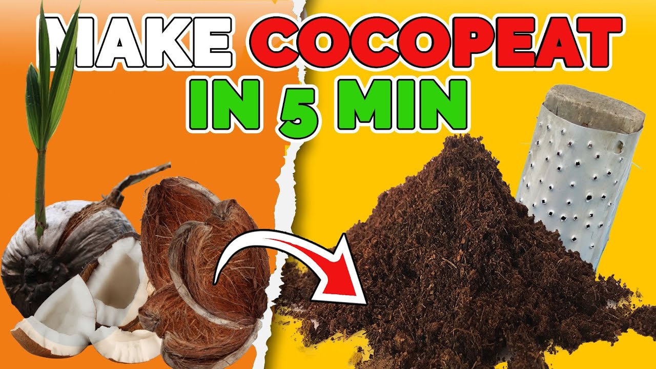 How To Make COCOPEAT At Home And Fast