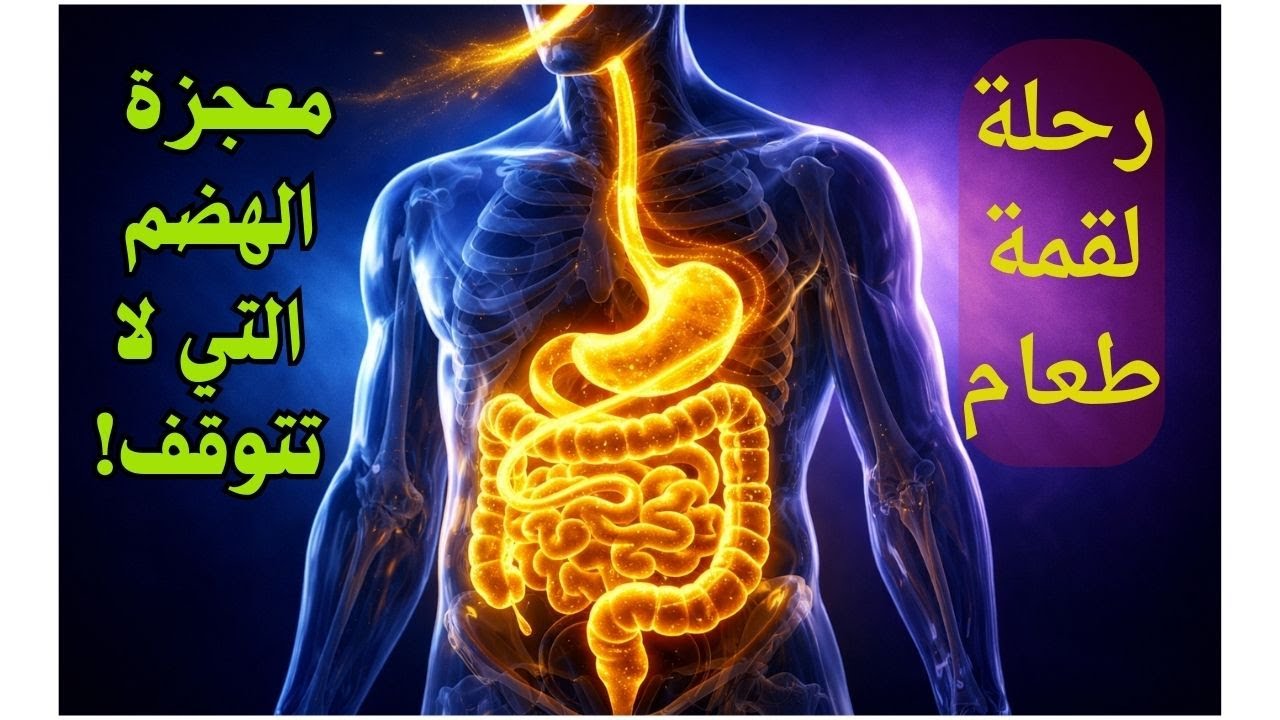 رحلة لقمة الطعام داخل جسمك | معجزة الهضم التي لا تتوقف!