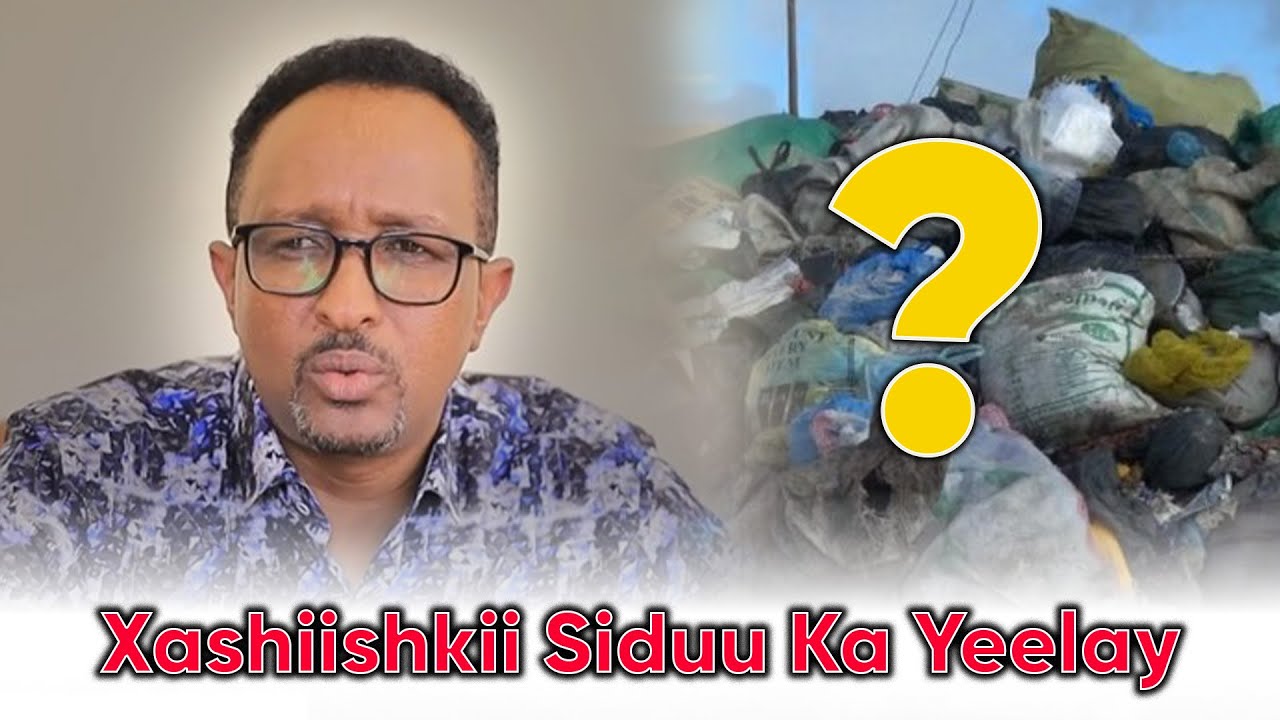 Maayir Mooge Qashinkii Muxuu Ku Sameeyay?  Horyaal Tv