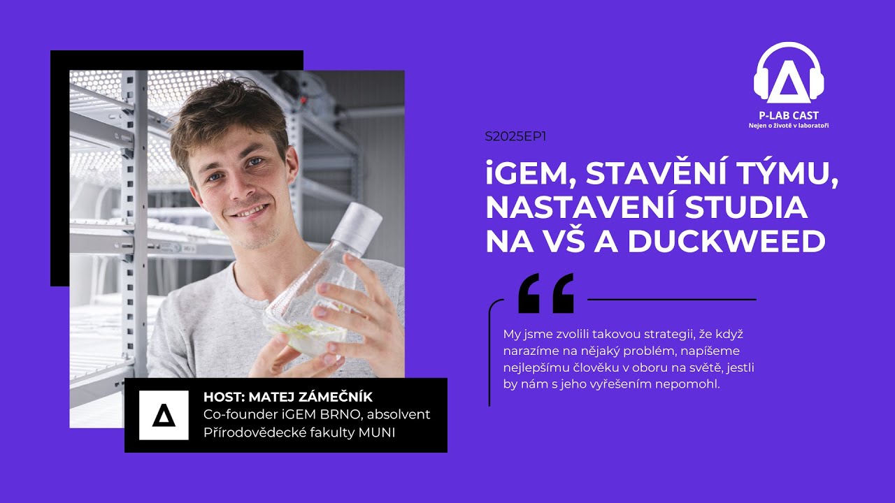 Matej Zámečník: Děláme »duckweed programmable and predictable« pro celý biotech svět