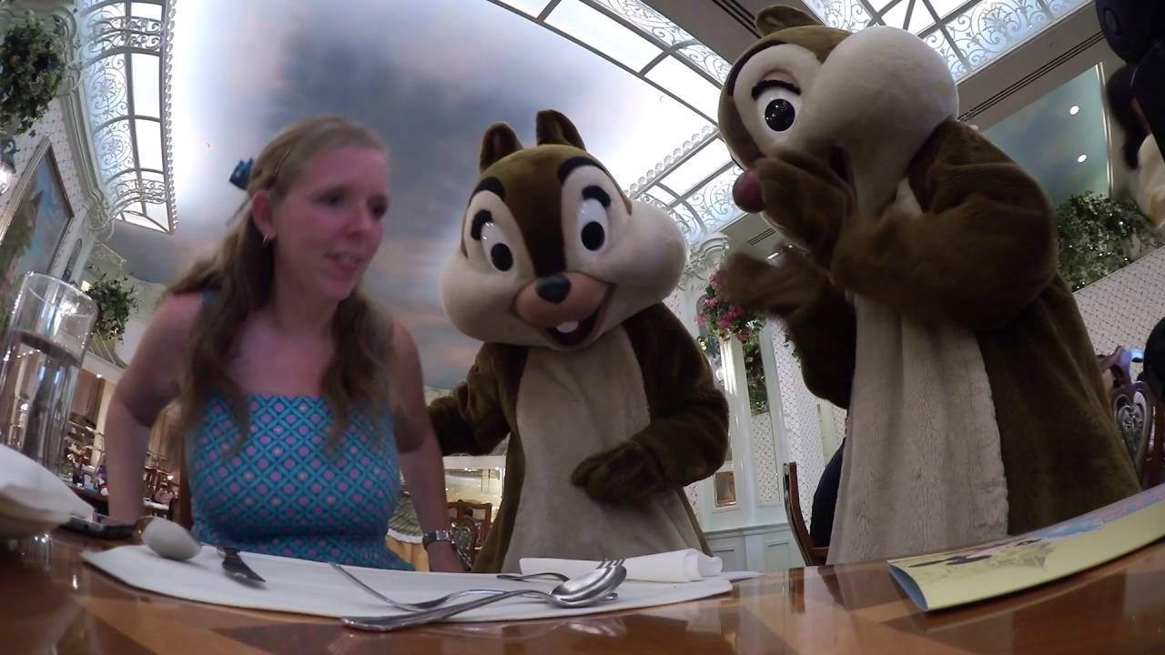 Chip and Dale enchanted garden 16/6