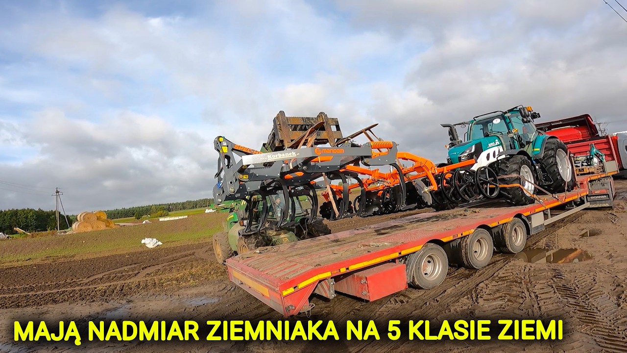 20 GROSZY PŁACĄ ROLNIKOWI ZA ZIEMNIAKA I NIE CHCĄ ODBIERAĆ, BO NADMIAR  - A W SKLEPIE? DROŻYZNA